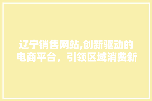 辽宁销售网站,创新驱动的电商平台，引领区域消费新潮流