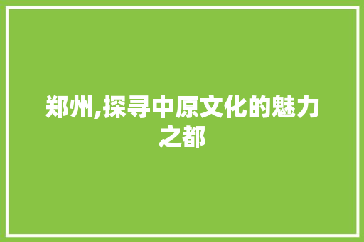 郑州,探寻中原文化的魅力之都