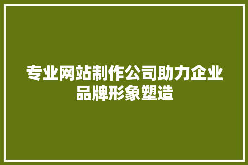 专业网站制作公司助力企业品牌形象塑造 专业网站制作公司助力企业品牌形象塑造 必应SEO