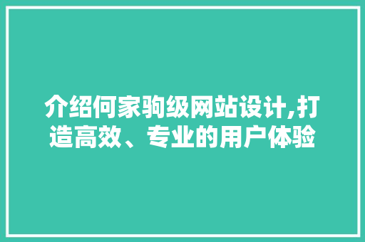 介绍何家驹级网站设计,打造高效、专业的用户体验