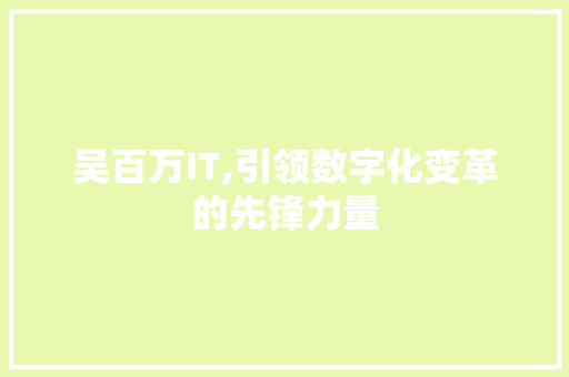 吴百万IT,引领数字化变革的先锋力量 百度SEO