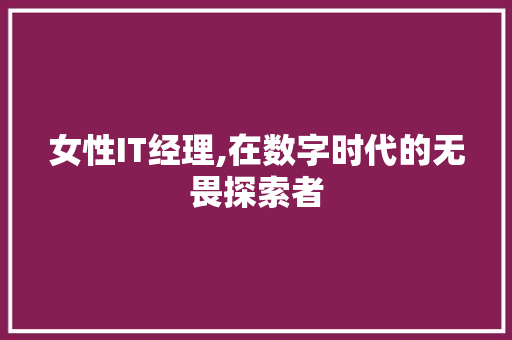 女性IT经理,在数字时代的无畏探索者 神马SEO
