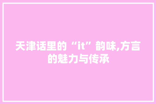 天津话里的“it”韵味,方言的魅力与传承
