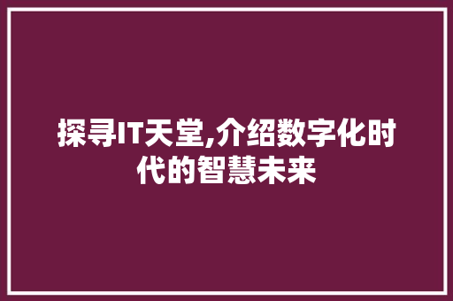 探寻IT天堂,介绍数字化时代的智慧未来 SEO关键词