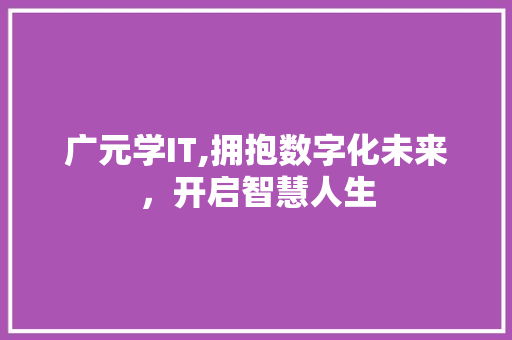 广元学IT,拥抱数字化未来，开启智慧人生 SEO关键词