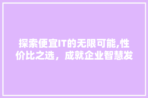 探索便宜IT的无限可能,性价比之选，成就企业智慧发展 必应SEO