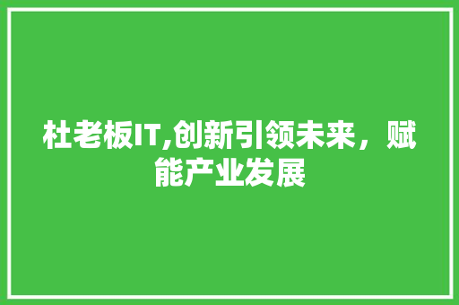 杜老板IT,创新引领未来，赋能产业发展 百度SEO