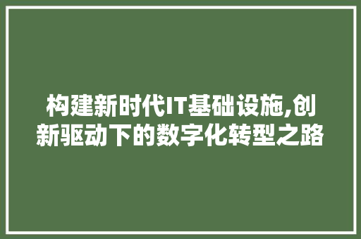 构建新时代IT基础设施,创新驱动下的数字化转型之路