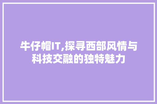 牛仔帽IT,探寻西部风情与科技交融的独特魅力