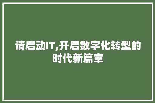 请启动IT,开启数字化转型的时代新篇章 网站建设公司