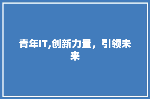 青年IT,创新力量，引领未来
