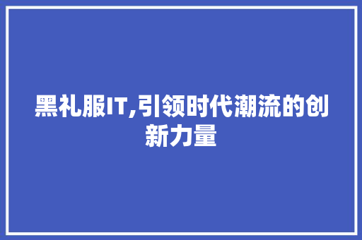 黑礼服IT,引领时代潮流的创新力量
