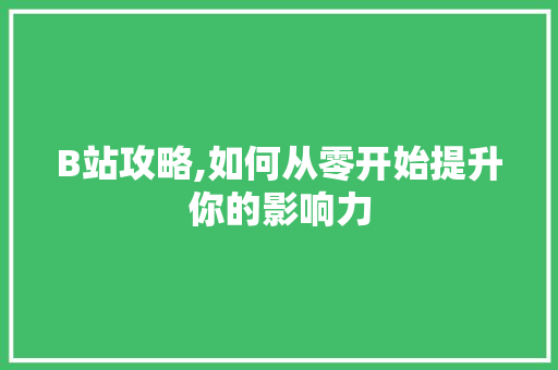 B站攻略,如何从零开始提升你的影响力 搜狗SEO