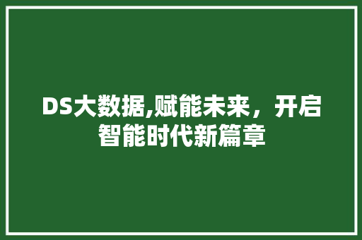 DS大数据,赋能未来，开启智能时代新篇章