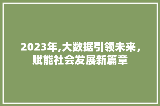 2023年,大数据引领未来，赋能社会发展新篇章