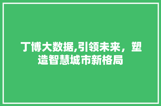 丁博大数据,引领未来，塑造智慧城市新格局