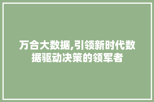 万合大数据,引领新时代数据驱动决策的领军者 SEO关键词