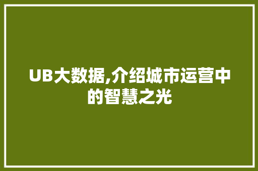 UB大数据,介绍城市运营中的智慧之光 神马SEO