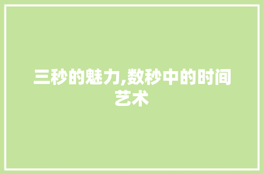 三秒的魅力,数秒中的时间艺术