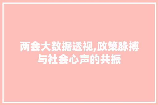 两会大数据透视,政策脉搏与社会心声的共振