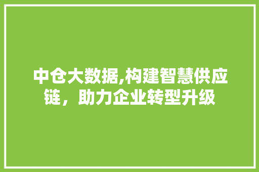 中仓大数据,构建智慧供应链，助力企业转型升级