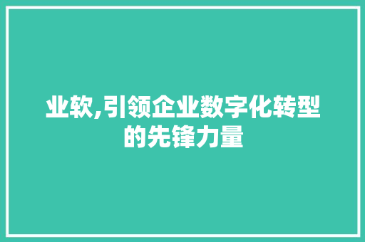 业软,引领企业数字化转型的先锋力量