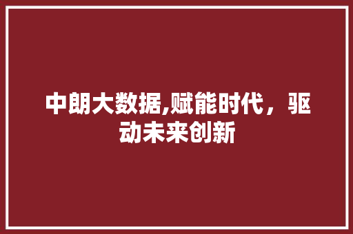 中朗大数据,赋能时代，驱动未来创新