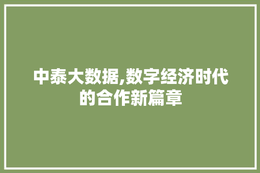 中泰大数据,数字经济时代的合作新篇章