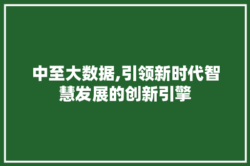 中至大数据,引领新时代智慧发展的创新引擎