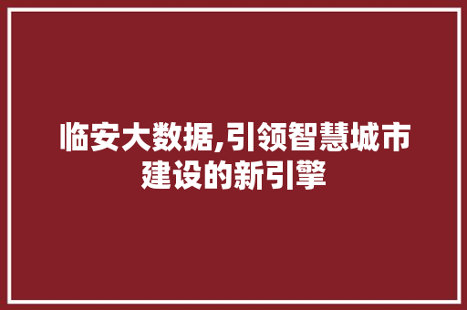 临安大数据,引领智慧城市建设的新引擎