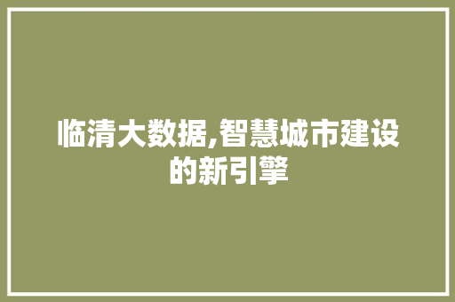 临清大数据,智慧城市建设的新引擎