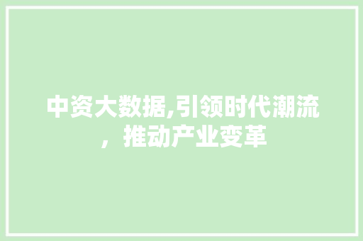 中资大数据,引领时代潮流，推动产业变革