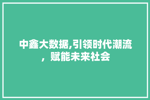 中鑫大数据,引领时代潮流，赋能未来社会