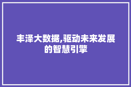 丰泽大数据,驱动未来发展的智慧引擎