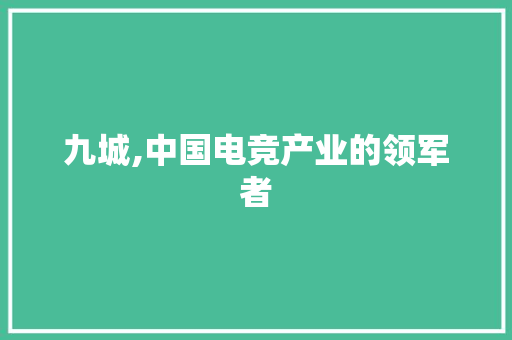 九城,中国电竞产业的领军者