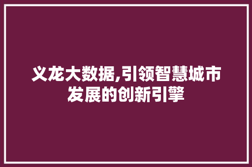 义龙大数据,引领智慧城市发展的创新引擎