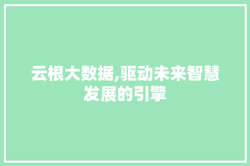 云根大数据,驱动未来智慧发展的引擎 网站建设公司