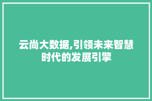 云尚大数据,引领未来智慧时代的发展引擎