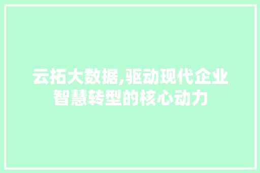 云拓大数据,驱动现代企业智慧转型的核心动力 搜狗SEO 云拓大数据,驱动现代企业智慧转型的核心动力 搜狗SEO