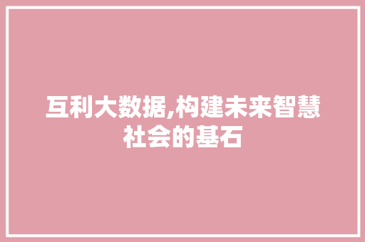 互利大数据,构建未来智慧社会的基石 必应SEO