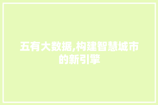 五有大数据,构建智慧城市的新引擎