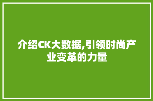 介绍CK大数据,引领时尚产业变革的力量 神马SEO