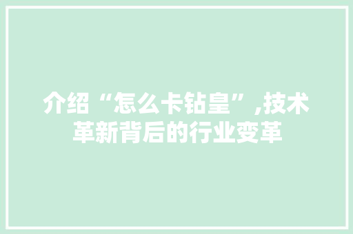 介绍“怎么卡钻皇”,技术革新背后的行业变革