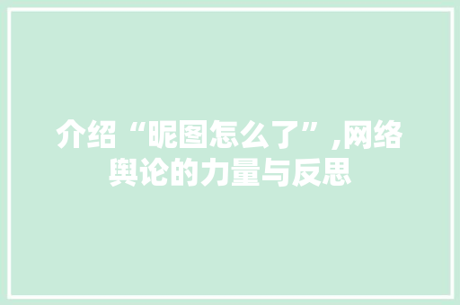 介绍“昵图怎么了”,网络舆论的力量与反思