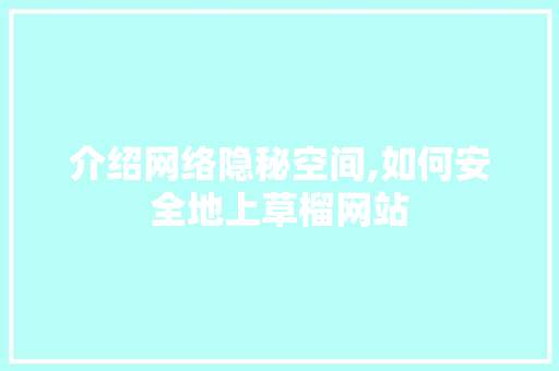 介绍网络隐秘空间,如何安全地上草榴网站 SEO关键词
