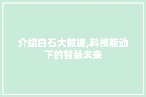 介绍白石大数据,科技驱动下的智慧未来 搜狗SEO
