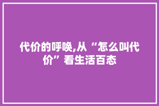 代价的呼唤,从“怎么叫代价”看生活百态
