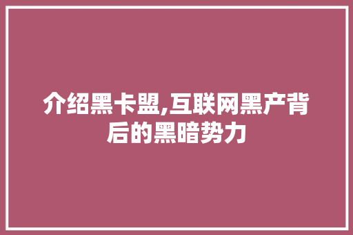 介绍黑卡盟,互联网黑产背后的黑暗势力 必应SEO