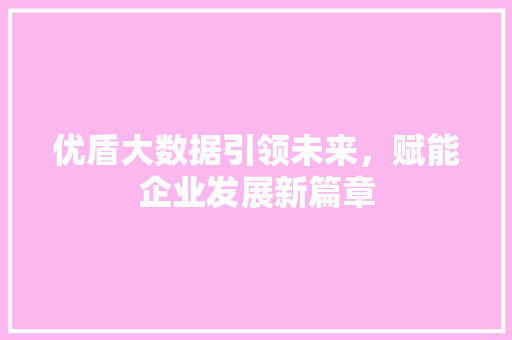 优盾大数据引领未来，赋能企业发展新篇章