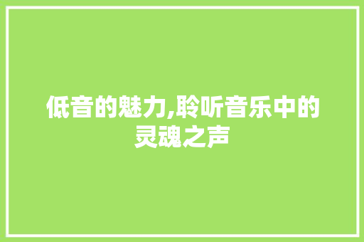 低音的魅力,聆听音乐中的灵魂之声 搜狗SEO